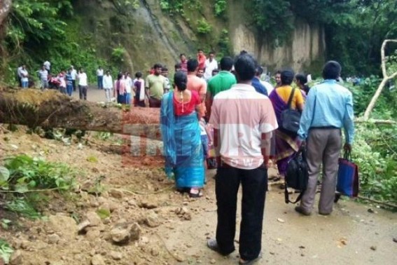 Heavy rain caused damages: Landslides blocked Amarpur-Udaipur road for hours